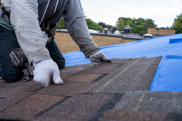 Best Roof Waterproofing Services  in Pine Knot, KY