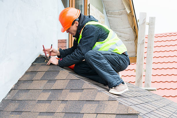 Roof Gutter Cleaning in Pine Knot, KY