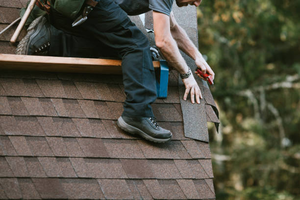 Best Shingle Roofing Installation  in Pine Knot, KY